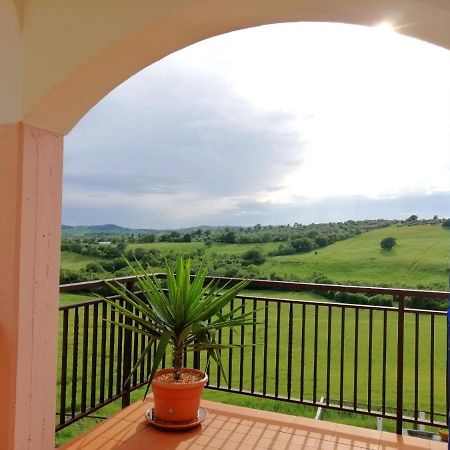 Agriturismo Podere Verdicchio Scansano Bagian luar foto