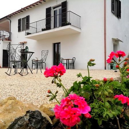 Agriturismo Podere Verdicchio Scansano Bagian luar foto