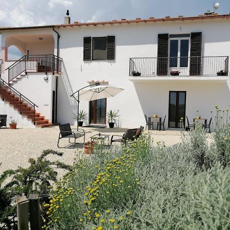 Agriturismo Podere Verdicchio Scansano Bagian luar foto