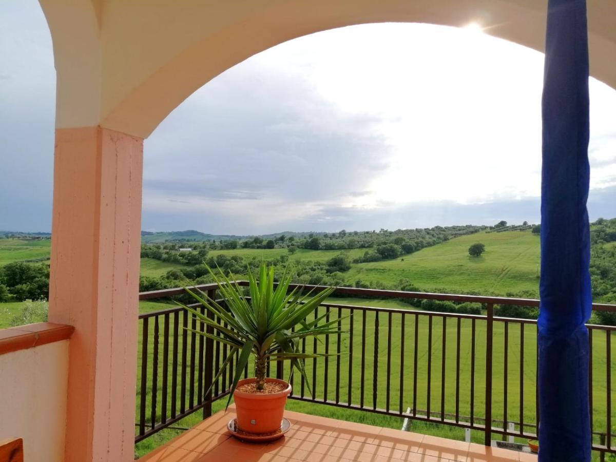 Agriturismo Podere Verdicchio Scansano Bagian luar foto
