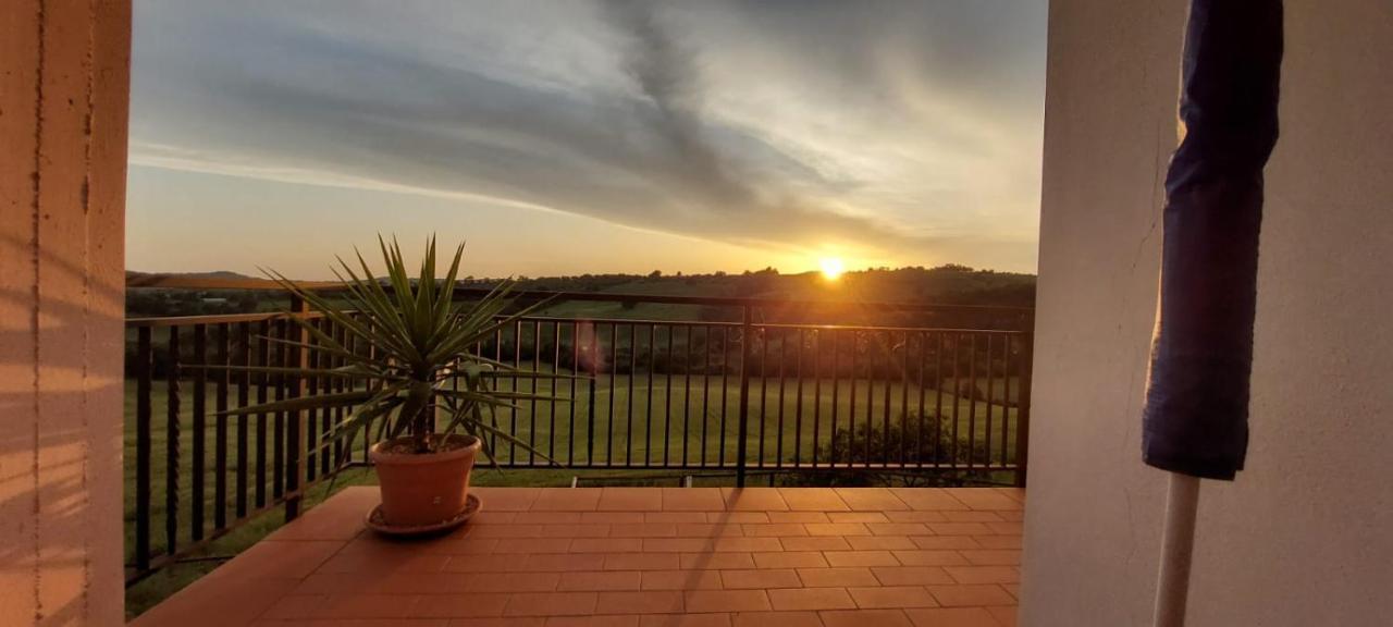Agriturismo Podere Verdicchio Scansano Bagian luar foto
