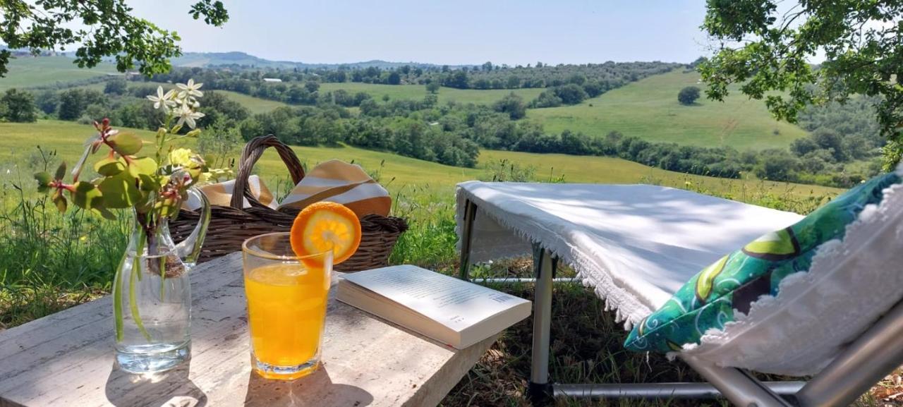Agriturismo Podere Verdicchio Scansano Bagian luar foto