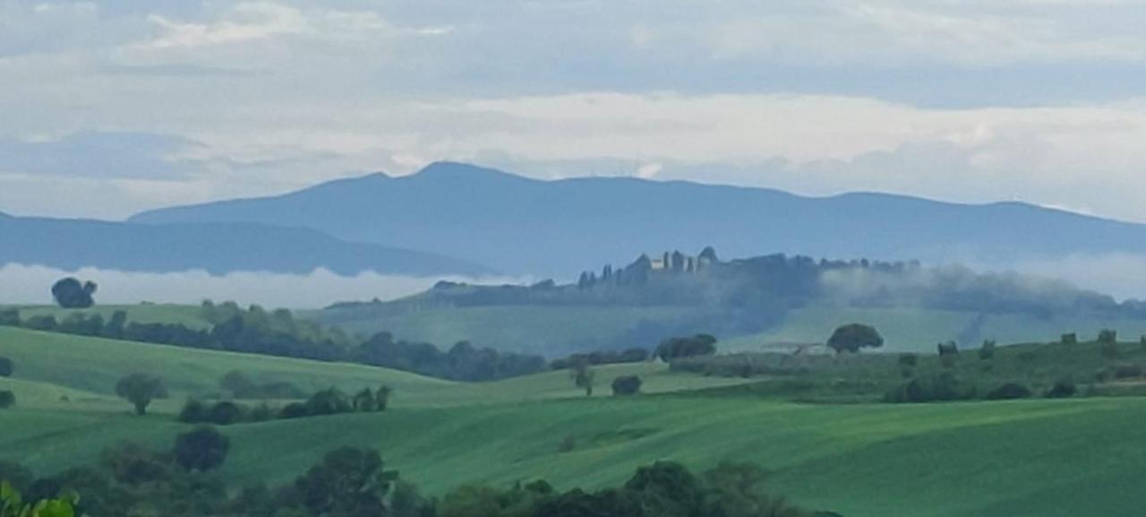 Agriturismo Podere Verdicchio Scansano Bagian luar foto